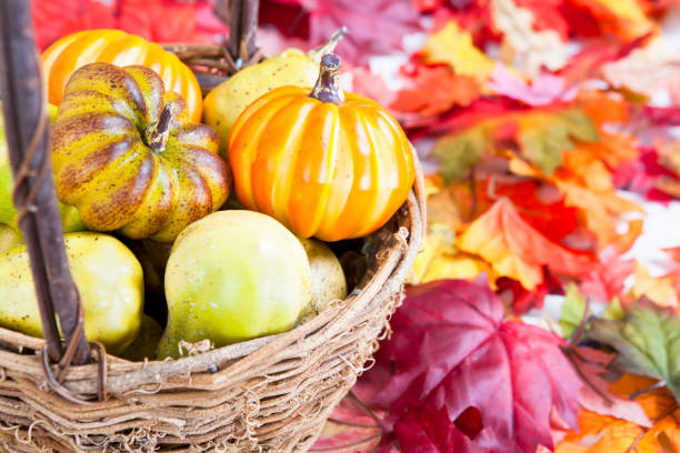 Autumn leaves on deck