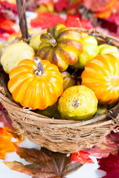 istock Basket of small pumkins 1036501824