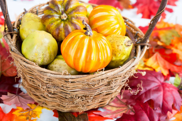 istock Basket of small pumkins 1036502322