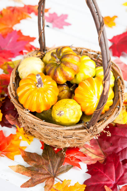 istock Basket of small pumkins 1036502654