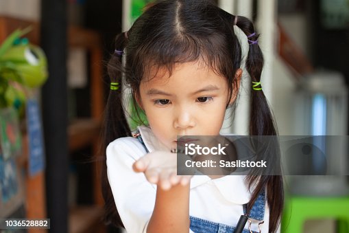 istock Cute asian child girl holding and playing with black caterpillar with curious and fun 1036528882