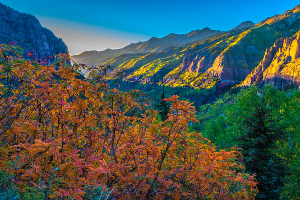 istock Beautiful Sunset Fall Hike in Telluride, Colorado 1036533196