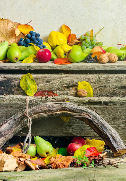 istock autumn still life with harvest in leaves 1036543712