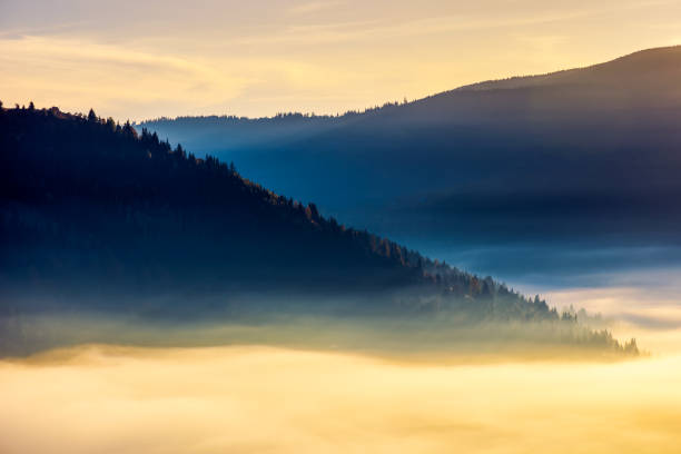 istock thick fog above the valley at sunrise 1036548068
