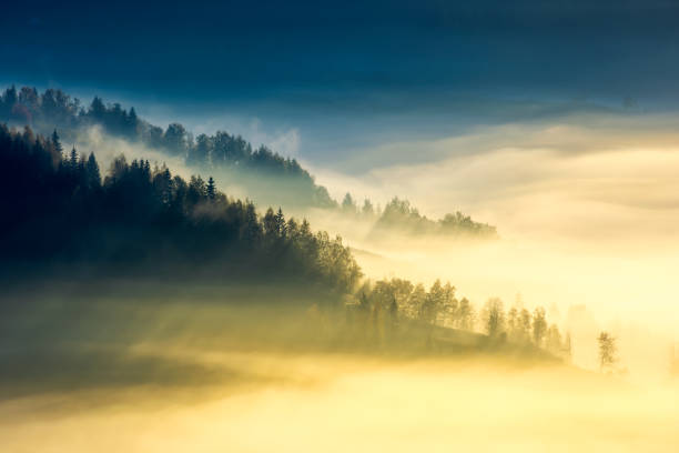 profond brouillard au-dessus de la vallée au lever du soleil - rolling landscape photos et images de collection