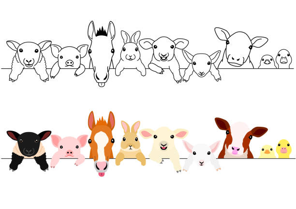 ilustrações, clipart, desenhos animados e ícones de conjunto de fronteira de bebês animais fazenda bonito - rabbit livestock pets cartoon