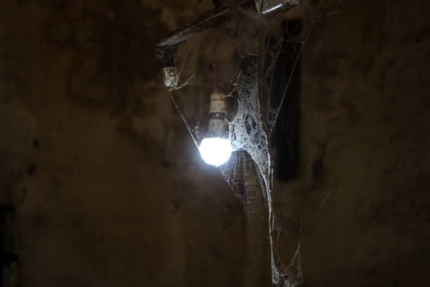 istock old tube light bulb cobwebs 1036550370
