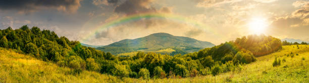 panorama of mountainous countryside. forest on a grassy meadow. high mountain in the distance. wonderful early autumn landscape at sunset