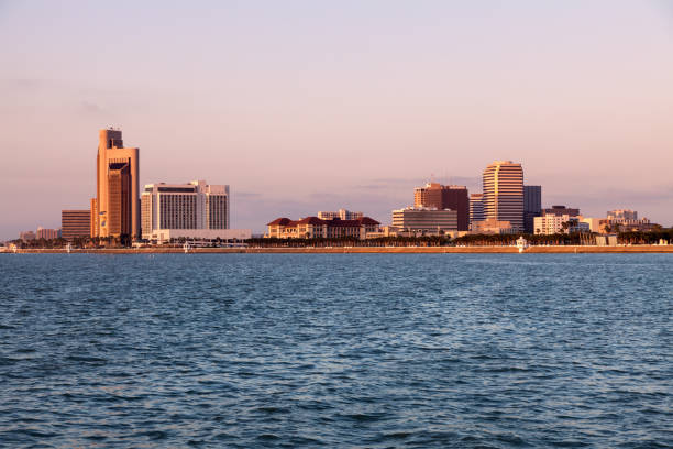 istock Panorama of Corpus Christi at sunrise 1036568314
