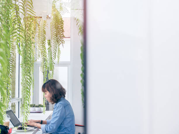 istock Woman working with laptop 1036577894