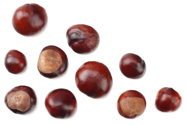 istock chestnuts isolated on white background. top view 1036585962