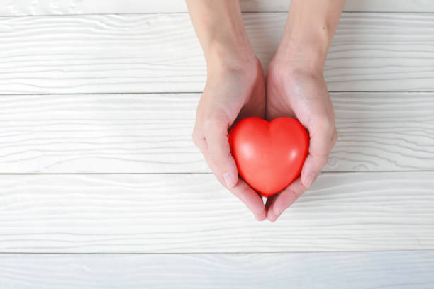 istock Female hands giving the red heart. 1036590026