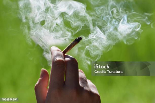 Joint In The Hand Stock Photo - Download Image Now - Smoking - Activity, Marijuana - Herbal Cannabis, Marijuana Joint