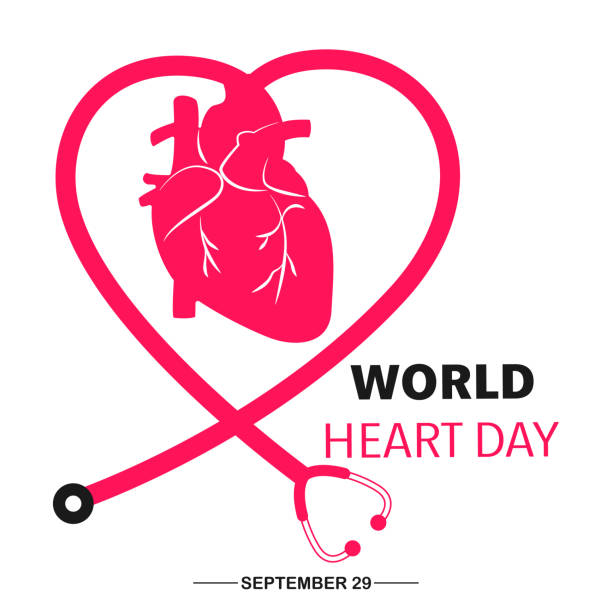 World heart day banner with Heart sign and stethoscope sign on white background vector illustration World heart day banner with Heart sign and stethoscope sign on white background vector illustration template World Heart Day  stock illustrations