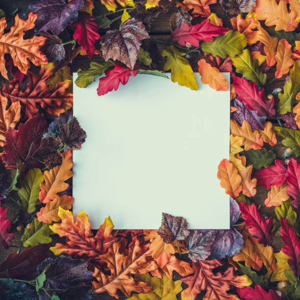 istock Creative layout made of autumn leaves with paper card note. 1036605878