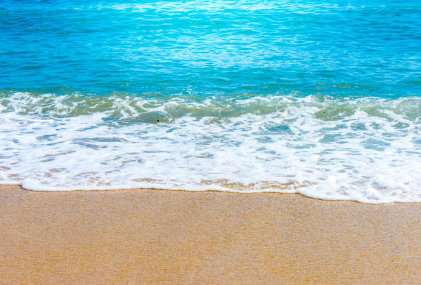 istock Beach and tropical sea 1036606634