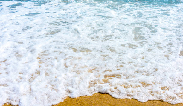 istock Beach and tropical sea 1036606796