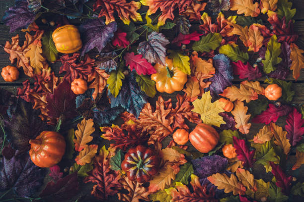 istock Creative autumn Halloween layout with various leaves and pumpkins 1036609860