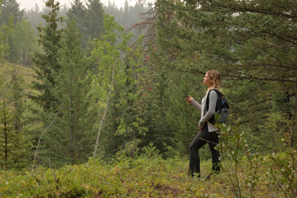 istock Young female hiker checks compass direction 1036610494
