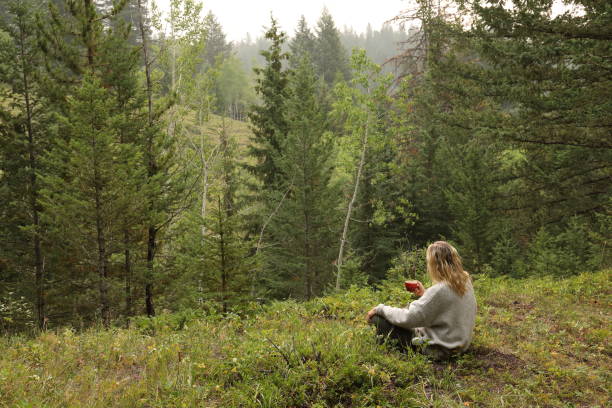 女性が森林草原に座りながら朝のコーヒーを飲む - footpath field nature contemplation ストックフォトと画像