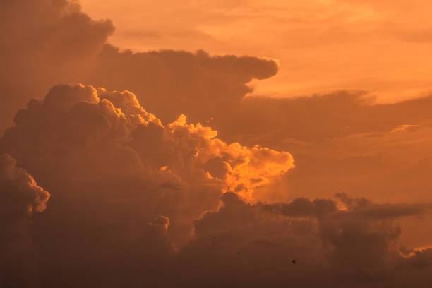 istock Golden sky in the evening 1036612336