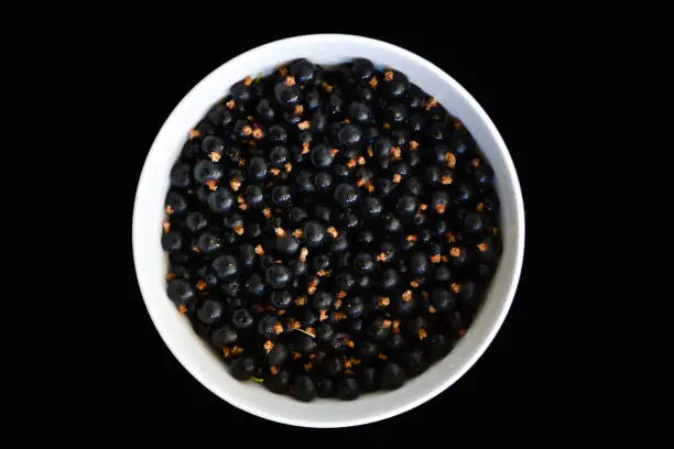 White bowl with ripe and washed blackcurrants isolated on red background. View from above on bright sunlight.