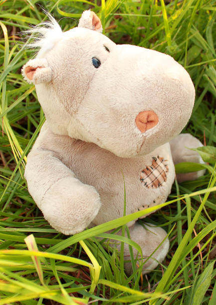 istock plush toy soft beige hippopotamus patch heart 1036631206