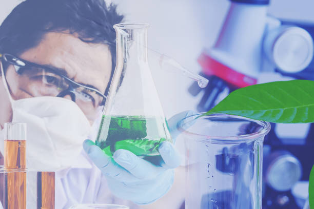 istock pipette dropping above test tube on sample chemical into herbal plants , bio technology medicine research concept. 1036642874