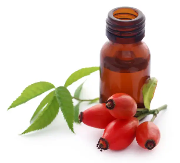 Rose hips with extracted essential oil in a bottle over white background