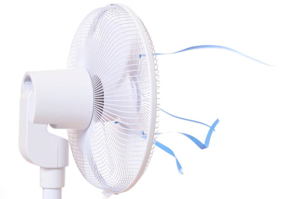 istock Close-up of fan 1036677172