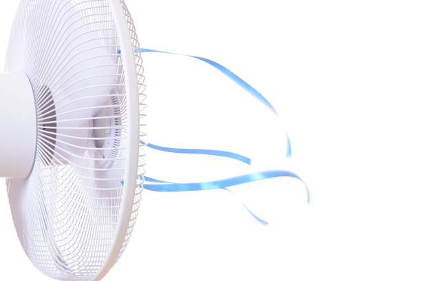 istock Close-up of fan 1036677204