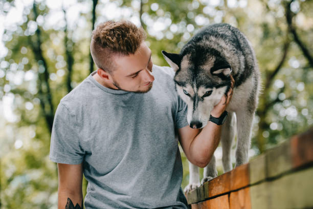 istock man with obedient husky dog on walk obstacle 1036681936