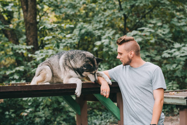 istock young man with siberian husky dog in park 1036683370