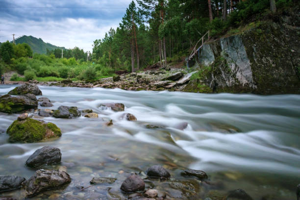 istock Mountain river Katun in Altai, Russia 1036693468