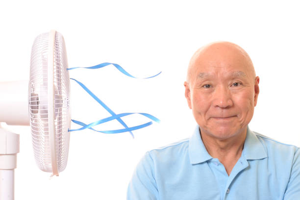 Fan and Japanese senior