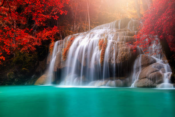 istock Beautiful Waterfall in autumn forest 1036703596