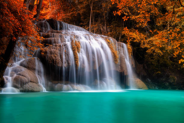 Beautiful Waterfall in autumn forest