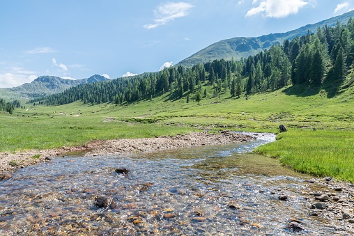 Mountain stream in the Nockberge mountains in Lungau, Austria