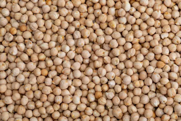 Texture of raw chickpeas (legume)