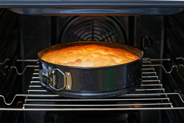 istock Homemade pie with apples is cooked in the oven 1036722936
