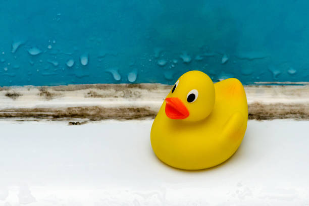 istock mold in bath, a duck toy in a dirty bathroom 1036729042