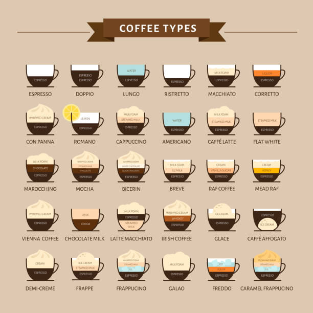 Types of coffee vector illustration. Infographic of coffee types and their preparation. Coffee house menu. Flat style. Types of coffee vector illustration. Infographic of coffee types and their preparation. Coffee house menu. Flat style. freddo cappuccino stock illustrations