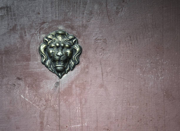 old wooden door with a bronze lion head