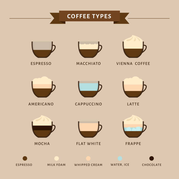 Types of coffee vector illustration. Infographic of coffee types and their preparation. Coffee house menu. Flat style. Types of coffee vector illustration. Infographic of coffee types and their preparation. Coffee house menu. Flat style. freddo cappuccino stock illustrations