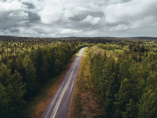 istock Forest, lakes and an empty road through the forest, in Lapland Finland 1036751398