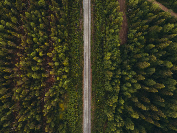 Railway track in forest seen from the sky, northern Finland Empty railway track in forest seen from the sky, northern Finland rail transportation stock pictures, royalty-free photos & images