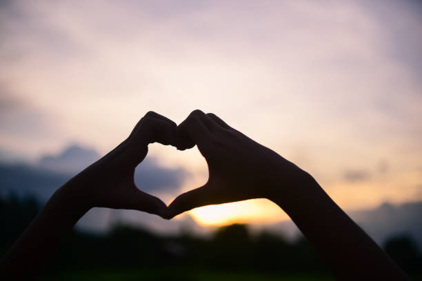 istock Love sign Heart shape hand  silhouette in sunset sky background. 1036763378