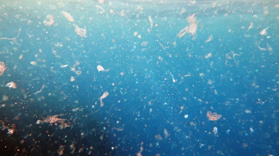 Agua de mar contaminada por micro de plástico. photo