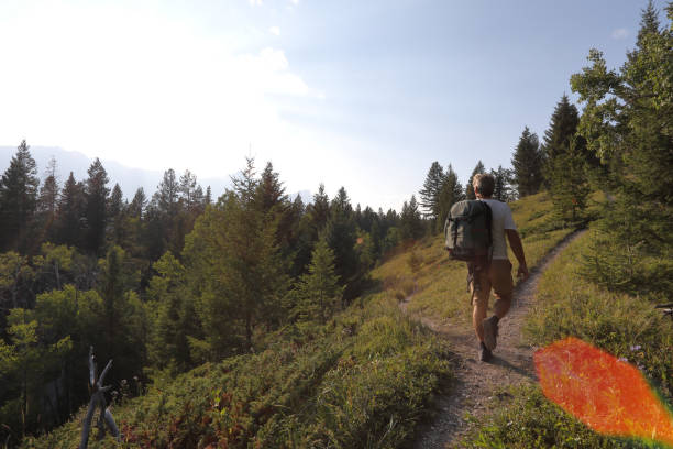 istock Man hiking at a crossroad in the path, mountains 1036773760