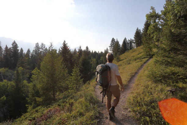 istock Man hiking at a crossroad in the path, mountains 1036773824
